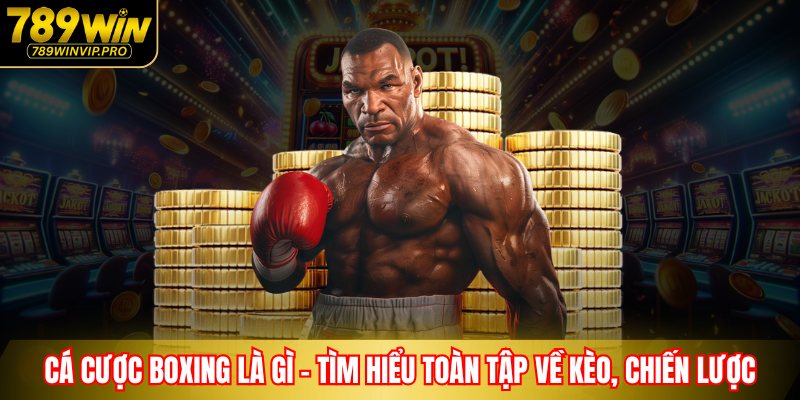 Cá Cược Boxing Là Gì – Tìm Hiểu Toàn Tập Về Kèo, Chiến Lược