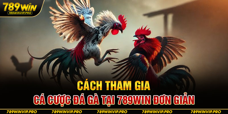 Cách tham gia cá cược đá gà tại 789WIN đơn giản