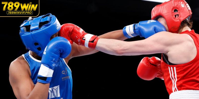 Giải Mã Toàn Bộ Về Cá Cược Boxing
