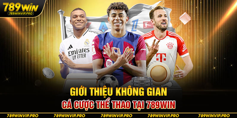 Giới thiệu không gian cá cược thể thao tại 789WIN